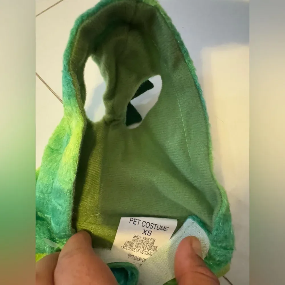 Dinosaur dog costume #20